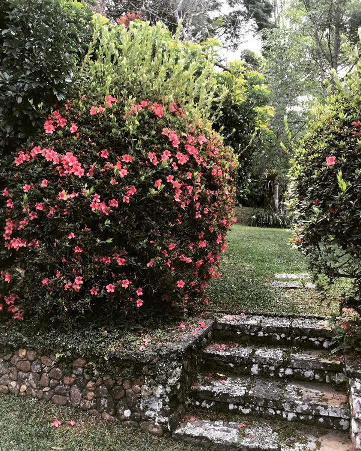 Pinheiros Do Rocio Hotel อารารัส เปโตรโปลิส ภายนอก รูปภาพ